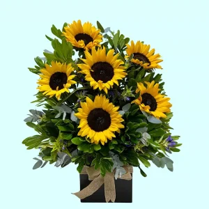 Destello de Sol arreglo de 8 girasoles en base de madera
