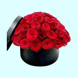 Caja color chocolate con 60 rosas rojas
