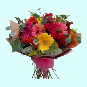 Destello de Alegría ramo de 24 gerberas de colores